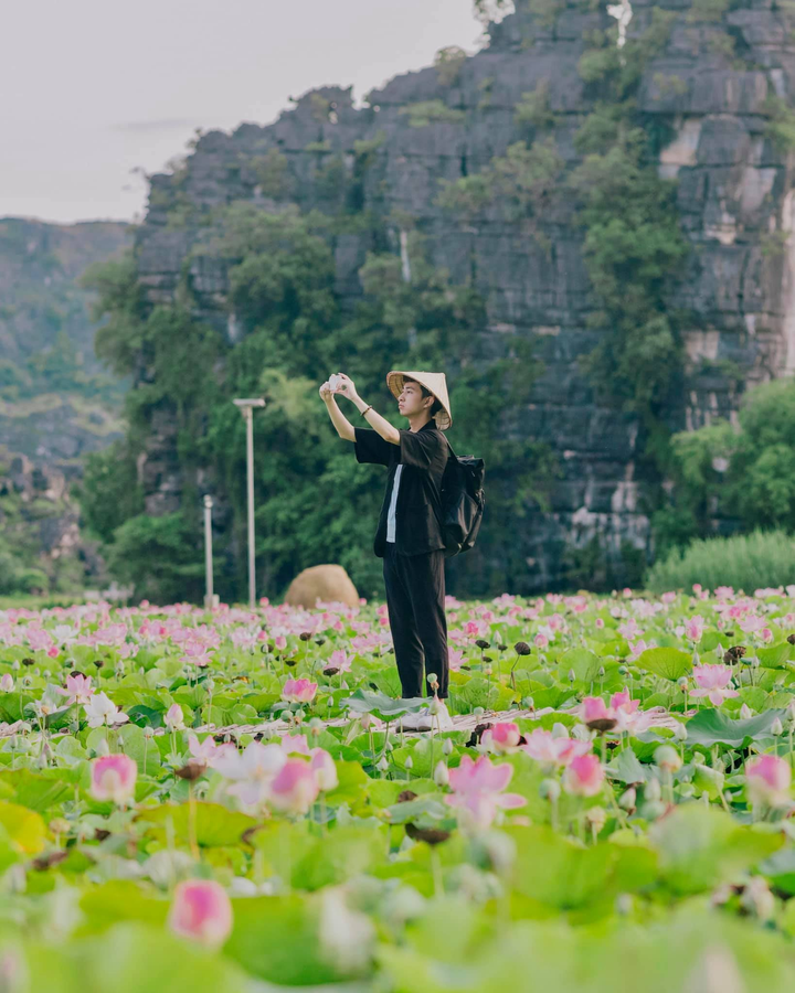 Say đắm trước cảnh thần tiên ở đầm sen dưới chân Hang Múa mùa nở rộ - 7