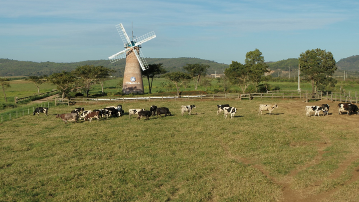 Đại dịch COVID-19 đang định hình rõ hơn xu hướng đầu tư ESG - 5