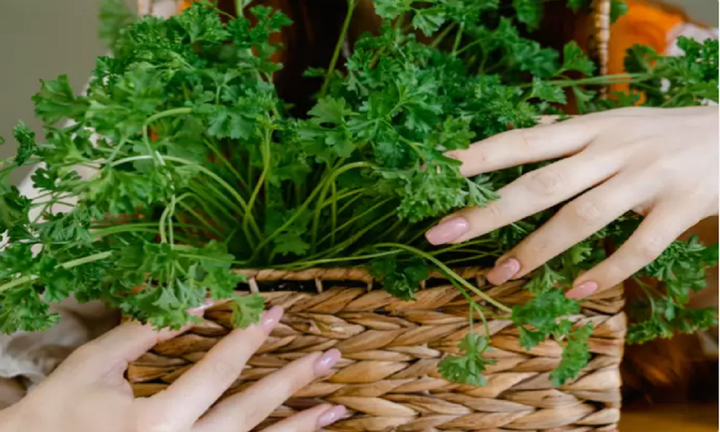 5 thực phẩm có thể giúp giảm tác dụng phụ của vaccine COVID-19 - 2