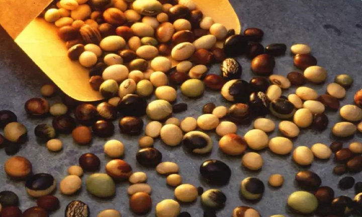 5 thực phẩm có thể giúp giảm tác dụng phụ của vaccine COVID-19 - 3