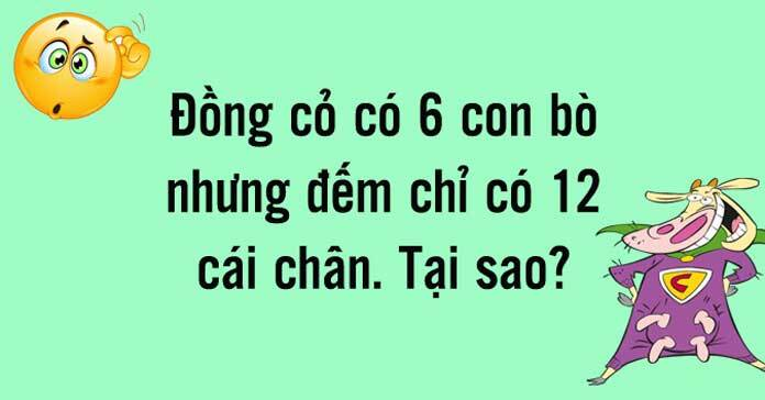4 câu đố mẹo hóc búa đảm bảo khiến hội bạn 'xoắn não' chịu thua - 3