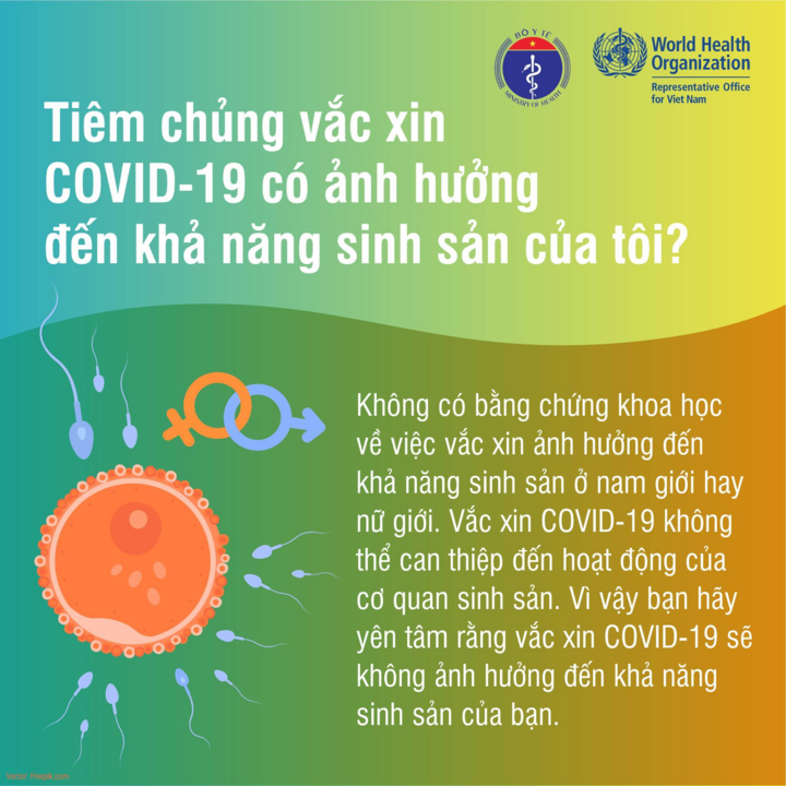 Phụ nữ mang thai có thể tiêm vaccine COVID-19? - 3