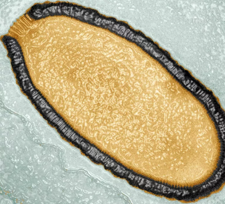 Bí ẩn dưới lớp băng vĩnh cửu ở Bắc cực: Nhiều virus cổ đại đang lăm le hồi sinh? - 3