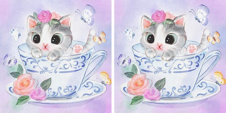 Thử thách 30 giây: Bạn có tìm ra 3 điểm khác biệt giữa 2 ảnh? - 3