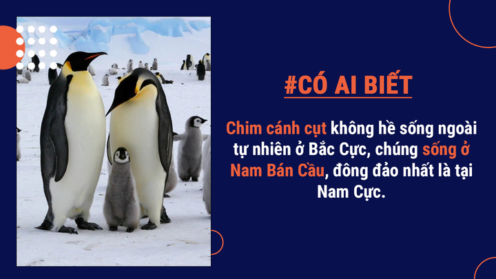 Có ai biết: Nam Phi có 3 thủ đô và 1001 điều nhiều người hiểu sai bao lâu nay - 8