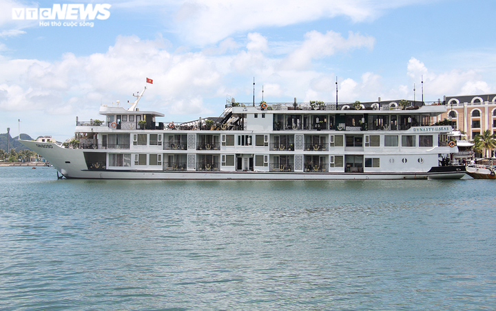 Nữ giám đốc gồng mình cứu đội tàu trăm tỷ ngắc ngoải bên bờ vịnh Hạ Long - 1