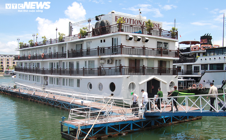 Nữ giám đốc gồng mình cứu đội tàu trăm tỷ ngắc ngoải bên bờ vịnh Hạ Long - 3