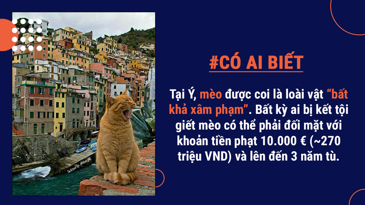 Có ai biết: 'Tifosi' - Biệt danh dành cho CĐV Italy có ý nghĩa rất lạ lùng - 3