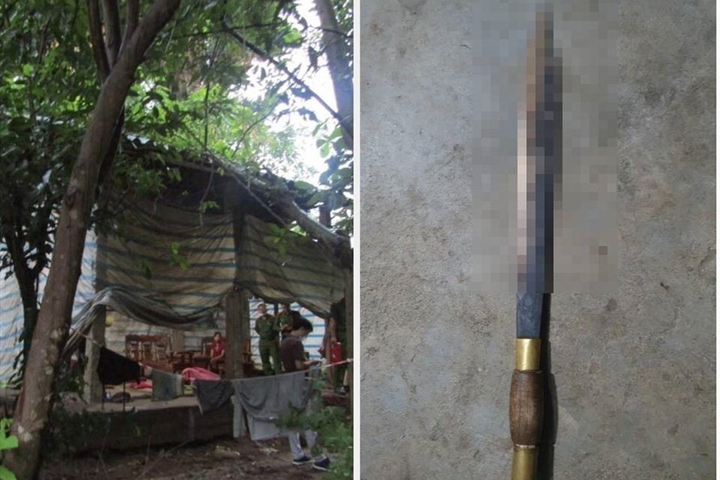 Bị trộm mâm cơm cúng chồng, goá phụ vung dao đoạt mạng hàng xóm - 1