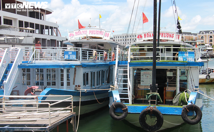 Nữ giám đốc gồng mình cứu đội tàu trăm tỷ ngắc ngoải bên bờ vịnh Hạ Long - 7