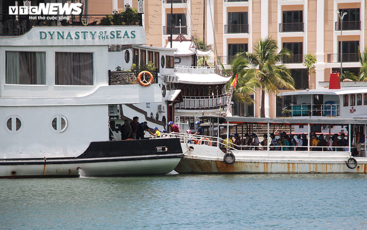 Nữ giám đốc gồng mình cứu đội tàu trăm tỷ ngắc ngoải bên bờ vịnh Hạ Long - 6