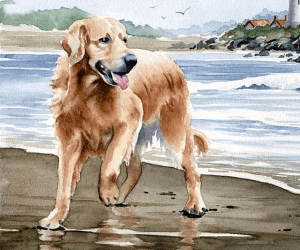 Dự đoán 12 con giáp 14/7: Dần cãi vã với người yêu, Tuất tăng thu nhập - 2