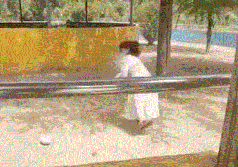 Dân mạng Trung Quốc nổi giận với bà mẹ vặt lông công để dỗ con - 2