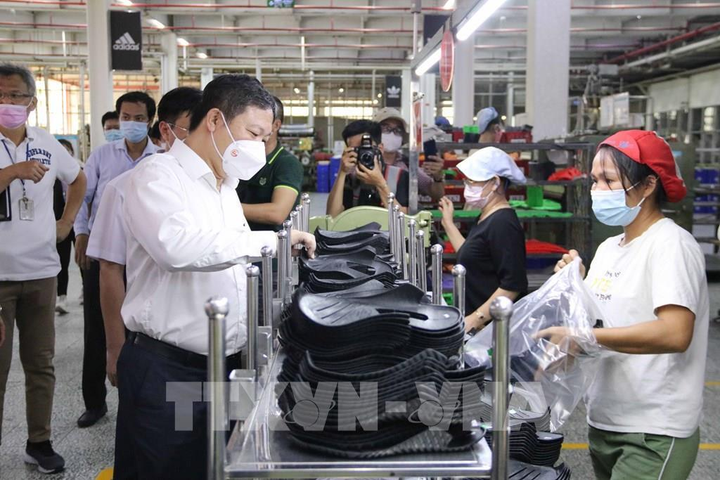 Công ty đông công nhân nhất TP.HCM tạm dừng hoạt động - 1