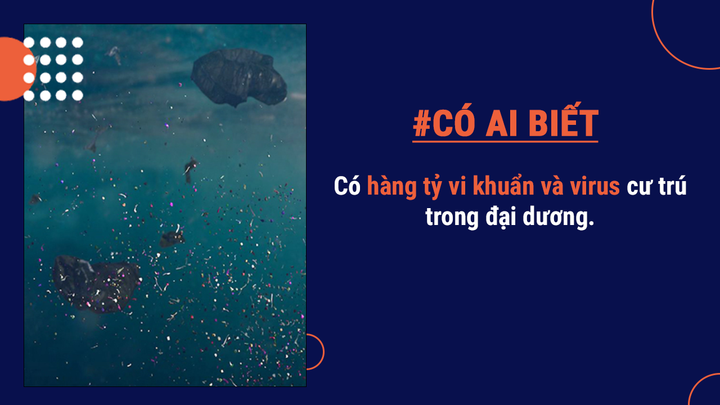 Có ai biết: Nước biển trên thế giới chứa hàng triệu tấn vàng - 4