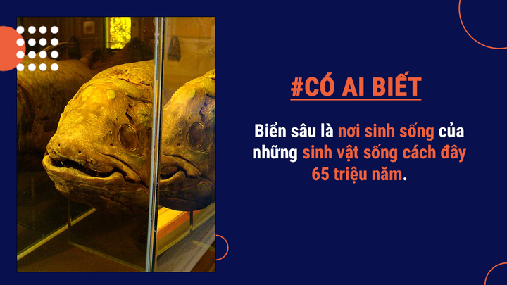 Có ai biết: Nước biển trên thế giới chứa hàng triệu tấn vàng - 3