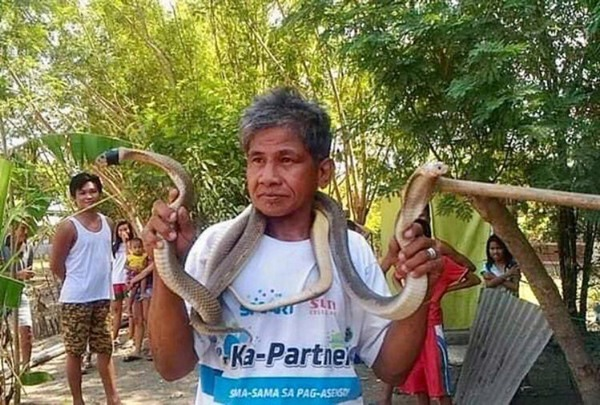 Người đàn ông hôn rắn hổ mang rồi chết trong đau đớn - 1