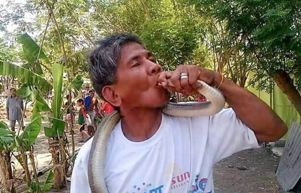 Người đàn ông hôn rắn hổ mang rồi chết trong đau đớn - 2