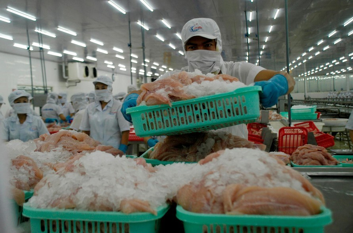 Kiến nghị lùi thêm thời gian thu phí dịch vụ cảng tại TP.HCM - 1