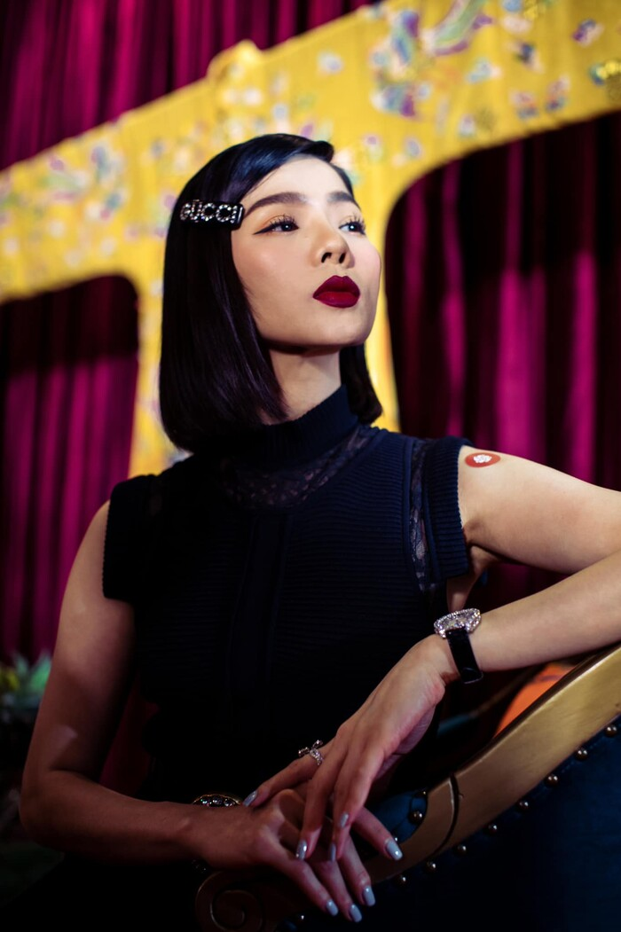 Lệ Quyên gọi anti-fan là 'lũ đạo đức giả' - 2