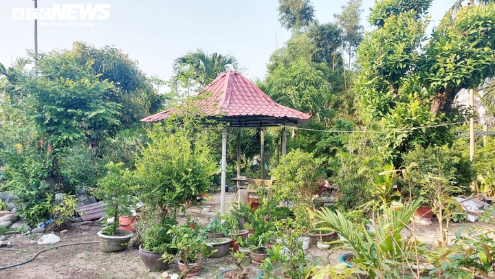 Đền 1m2 đất bằng cân cá nục ở Đà Nẵng: Tòa phúc thẩm tuyên hủy án sơ thẩm - 2