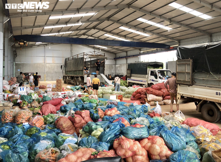 Ảnh: Người dân Gia Lai, Kon Tum gom rau củ gửi tặng TP.HCM - 9