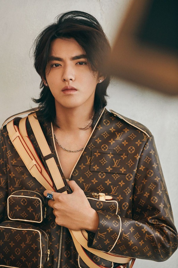 Ngô Diệc Phàm rút khỏi hàng loạt công ty, nghi ngờ trốn thuế - 1