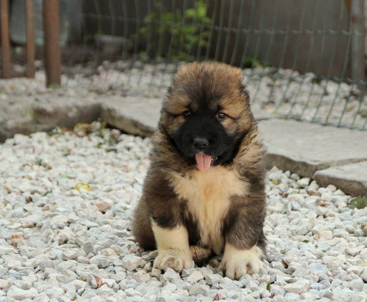 11 hành động bình thường có thể khiến bạn bị phạt ở nước ngoài - 4