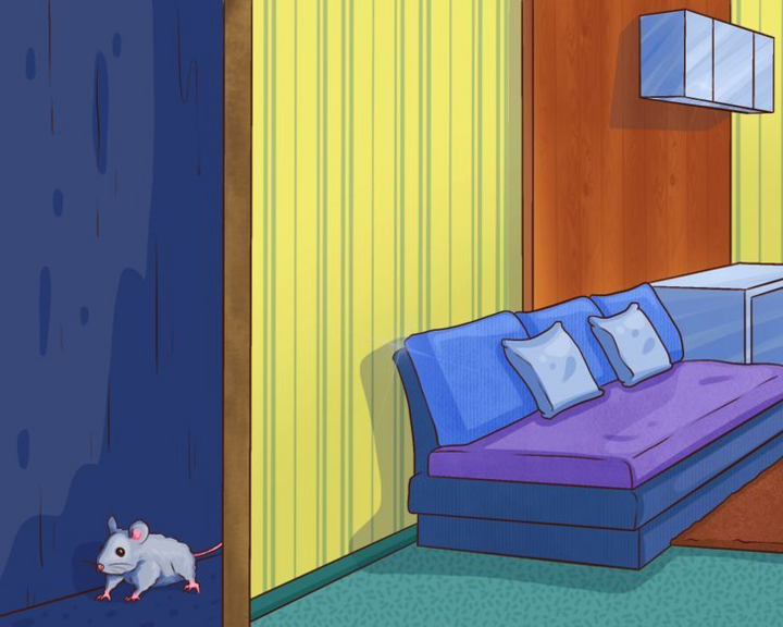 Vì sao nhiều người thường nghe tiếng động lạ vào ban đêm? - 5