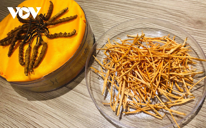 Mua 'xác' đông trùng hạ thảo giá cao ngất, cẩn thận tiền mất tật mang - 4