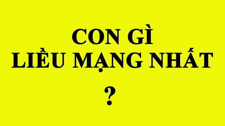 4 câu đố mẹo siêu 'hại não' lại khiến dân tình thích thú thi nhau giải - 4