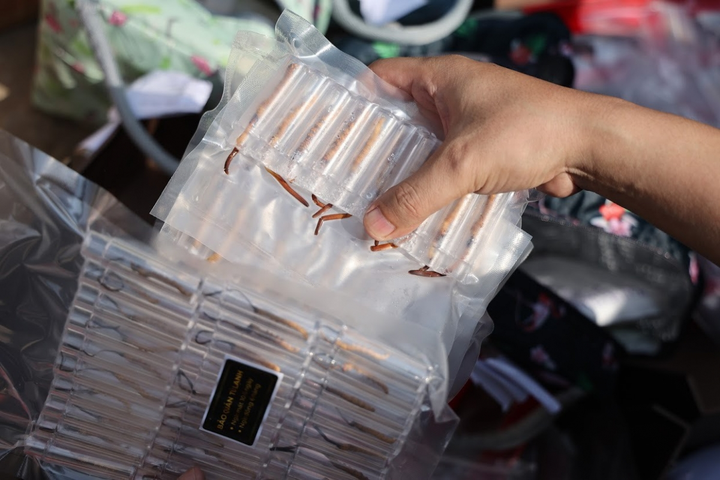 Mua 'xác' đông trùng hạ thảo giá cao ngất, cẩn thận tiền mất tật mang - 5