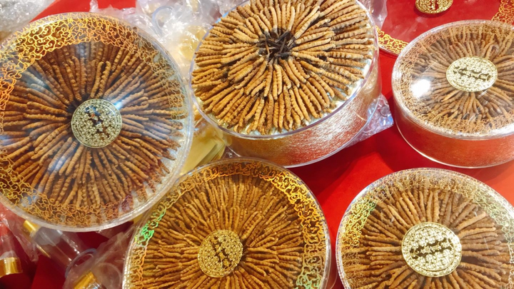 Mua 'xác' đông trùng hạ thảo giá cao ngất, cẩn thận tiền mất tật mang - 2