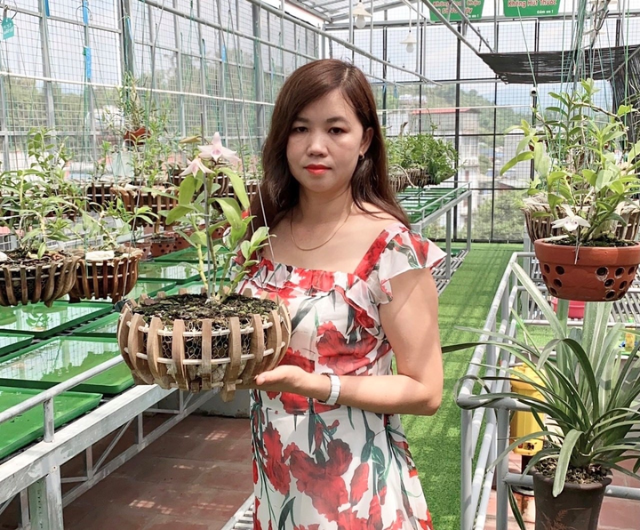 Câu chuyện mê hoa Lan của bà chủ vườn lan Philipcuccu Hoa - 4