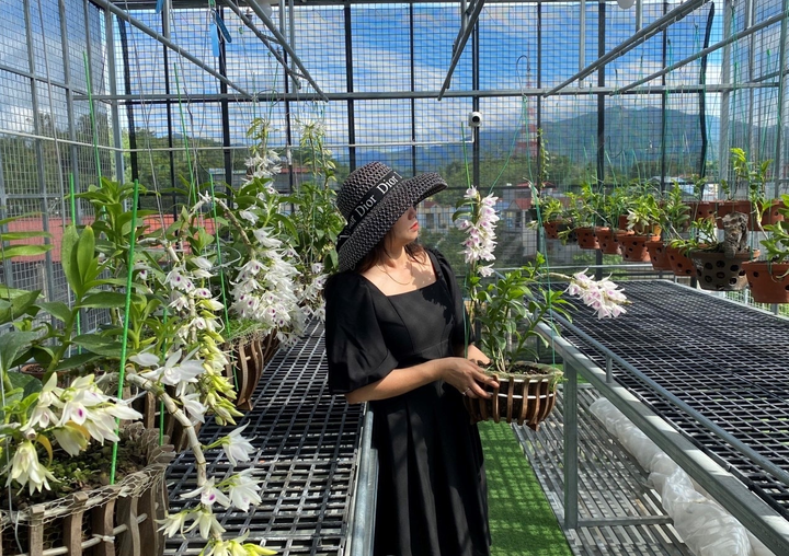 Câu chuyện mê hoa Lan của bà chủ vườn lan Philipcuccu Hoa - 1