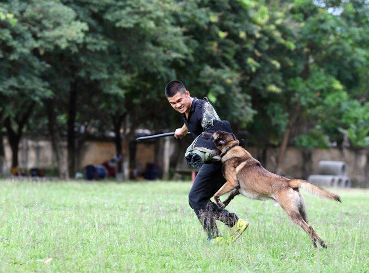 Biên phòng Việt Nam cùng 'vũ khí đặt biệt' sẵn sàng cho Army Games 2021 - 10