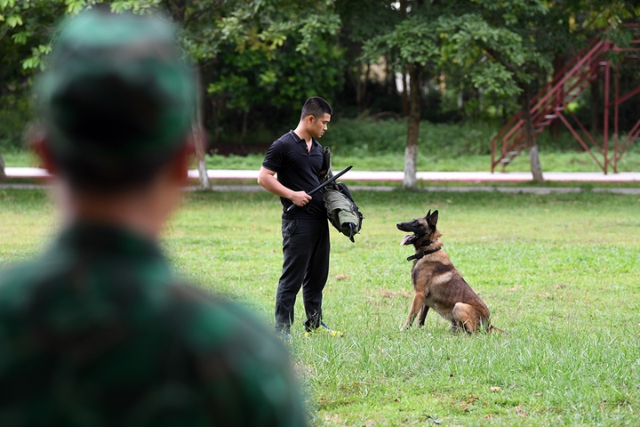 Biên phòng Việt Nam cùng 'vũ khí đặt biệt' sẵn sàng cho Army Games 2021 - 11