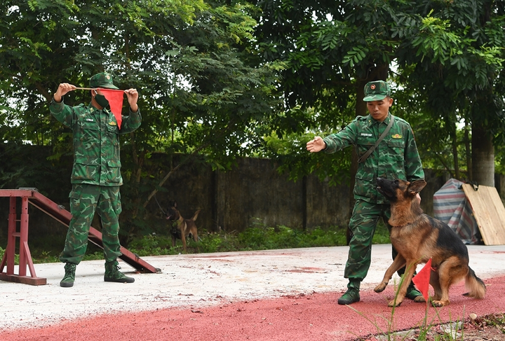 Biên phòng Việt Nam cùng 'vũ khí đặt biệt' sẵn sàng cho Army Games 2021 - 2