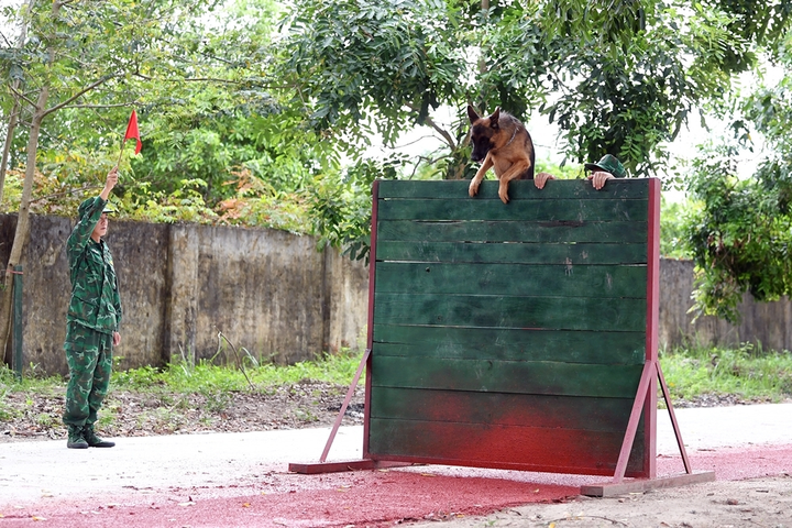 Biên phòng Việt Nam cùng 'vũ khí đặt biệt' sẵn sàng cho Army Games 2021 - 5