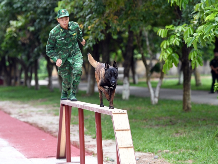 Biên phòng Việt Nam cùng 'vũ khí đặt biệt' sẵn sàng cho Army Games 2021 - 7
