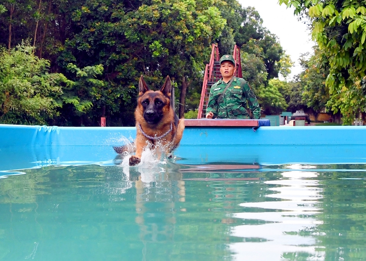 Biên phòng Việt Nam cùng 'vũ khí đặt biệt' sẵn sàng cho Army Games 2021 - 8