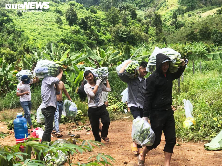 Lái xe chở rau củ miễn phí vào rốn dịch và những giọt nước mắt đằng sau vô lăng - 3