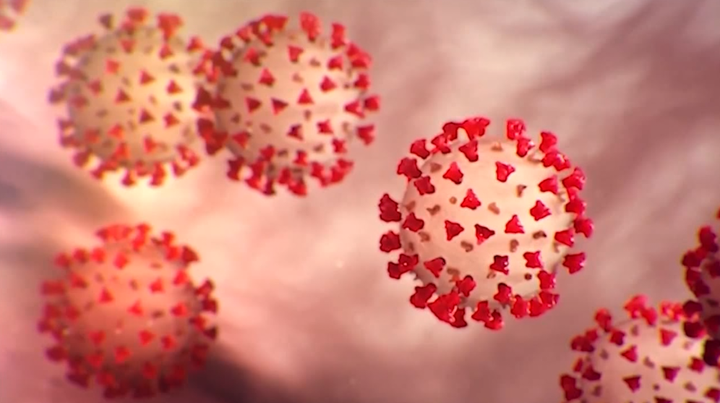 Biến thể Delta mang tải lượng virus cao gấp 1.000 lần so với chủng gốc - 1