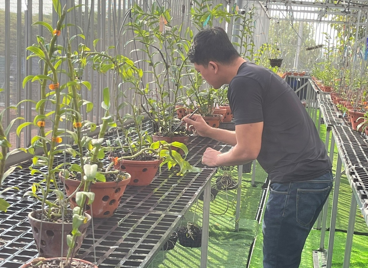 Ông chủ vườn lan Chinh Doãn và chuyện truyền cảm hứng cho người chơi lan - 2