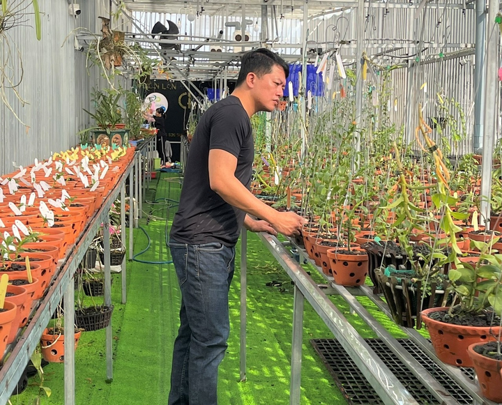 Ông chủ vườn lan Chinh Doãn và chuyện truyền cảm hứng cho người chơi lan - 1