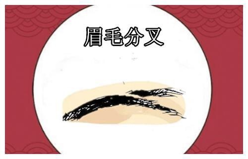 Trắc nghiệm vui: Đoán khả năng kiếm tiền của bạn qua hình dáng lông mày - 1