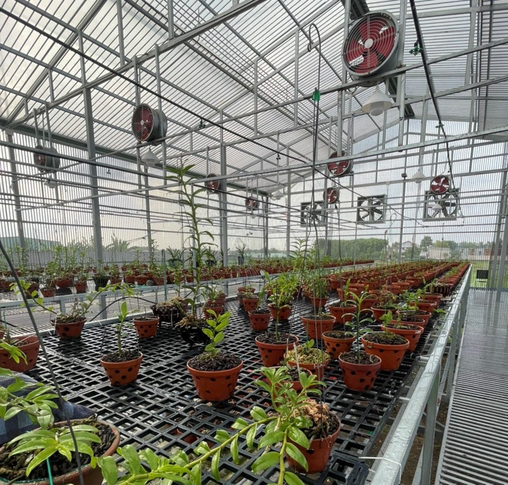 Gặp gỡ người con Xứ Huế sở hữu vườn lan nhiều người mơ ước - 3