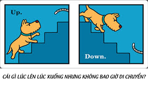 Đố mẹo: Cái gì đi lên, đi xuống nhưng không di chuyển? - 1