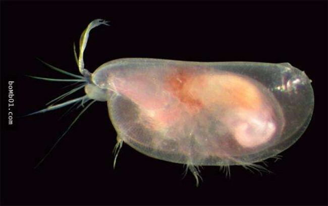 10 địa điểm kỳ dị thách thức khả năng lý giải của các nhà khoa học - 2