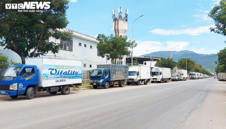 Ảnh: Tất bật chuyển hải sản trước giờ đóng cửa cảng cá lớn nhất miền Trung - 3